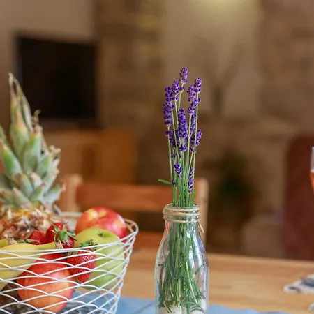 Rustic House Harmonie With Private Pool And Large Garden - Kapovci, Island Krk 別荘