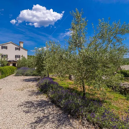 Rustic House Harmonie With Private Pool And Large Garden - Kapovci, Island Krk Brusici
